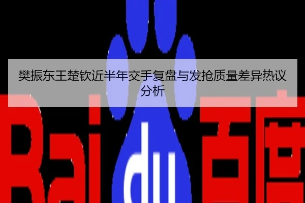 樊振东王楚钦近半年交手复盘与发抢质量差异热议分析
