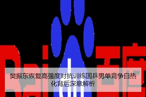 樊振东恢复高强度对抗训练国乒男单竞争白热化背后深意解析