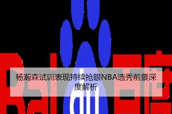 杨瀚森试训表现持续抢眼NBA选秀前景深度解析
